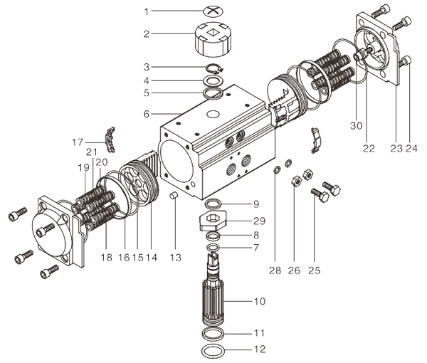 pneumatic rotary actuator